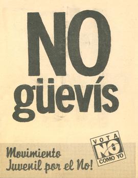 Volante "NO güevís"