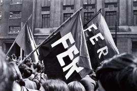 Fotografía banderas del FER